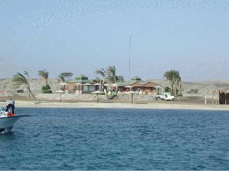 Shams Alam - Wadi Gimal Diving Center,Marsa Alam,Marsa Alam und südlich,Ägypten