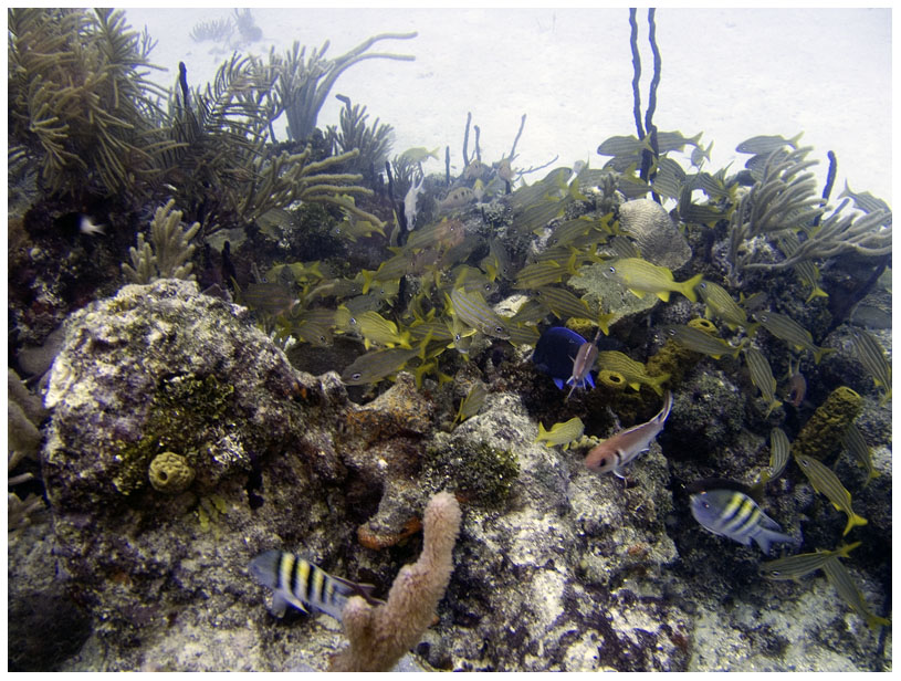 Bayahibe, Bayahibe,Dominikanische Republik