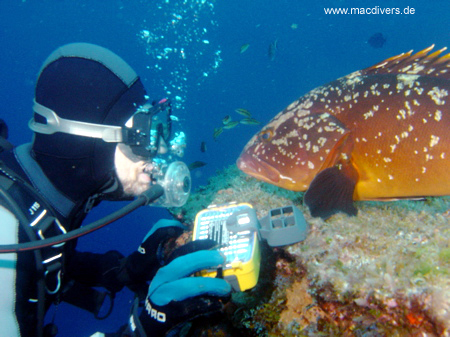 El Hierro, El Hierro,Spanien