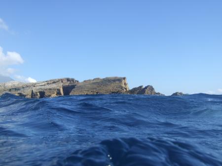 Pico Sport Scuba Diving & Whale Watching,Portugal