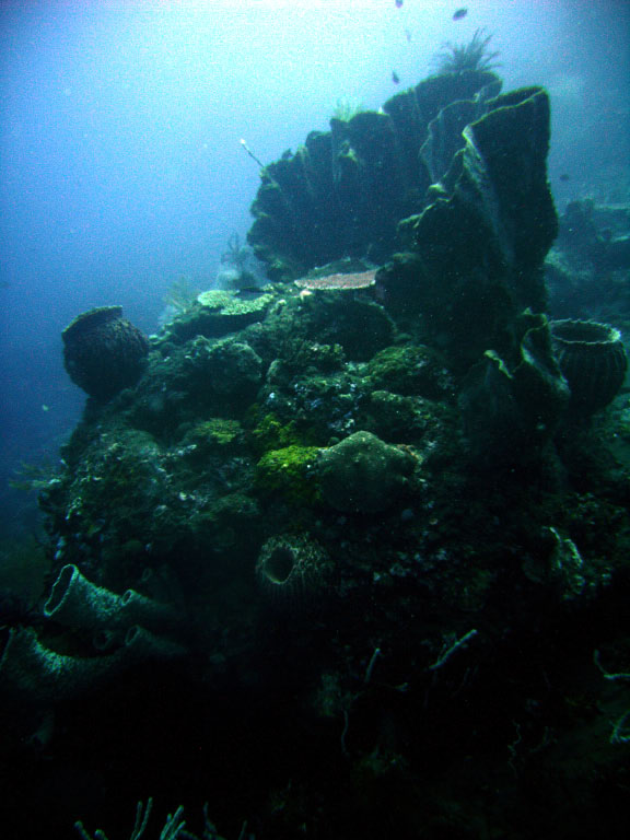 Bali Alma Batu, Alam Batu,Indonesien