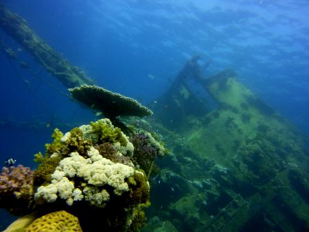 Beachsafari Diving Camp Marsa Alam,Marsa Alam und südlich,Ägypten