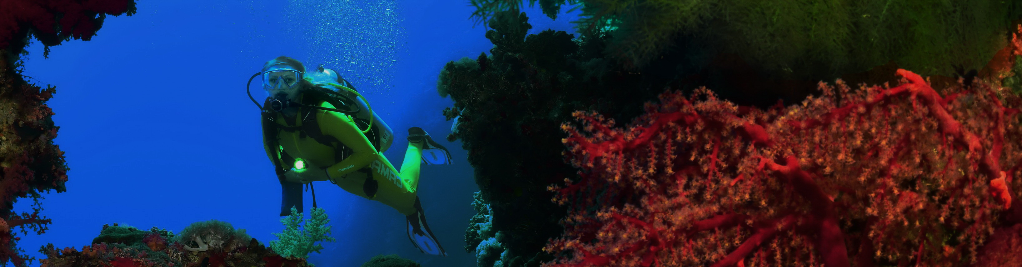 Corona Vaccinations in Extra Divers Team Egypt Diveinside News