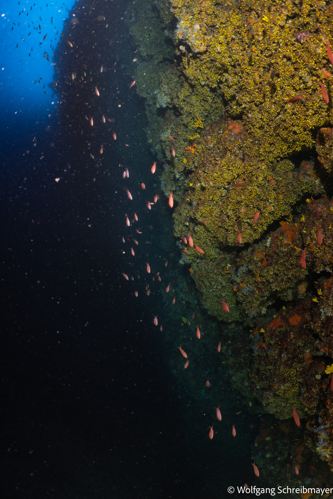 Punta Diving, Betina, Kroatien