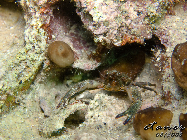 Hausbucht Scuba Valdaliso, Rovinj, Rovinj,Kroatien