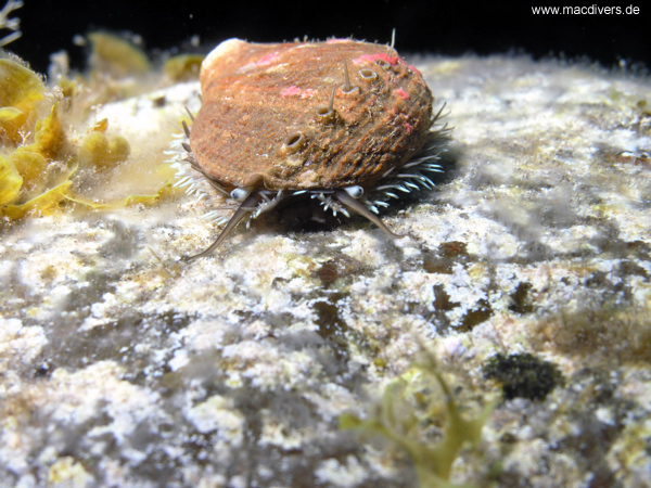 El Hierro, El Hierro,Spanien