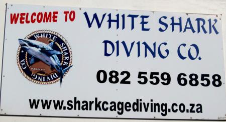 White Shark  Diving Company,Südafrika