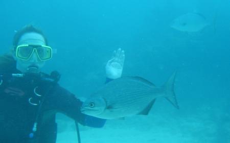 Scuba-Fun,Key Largo,Florida,USA