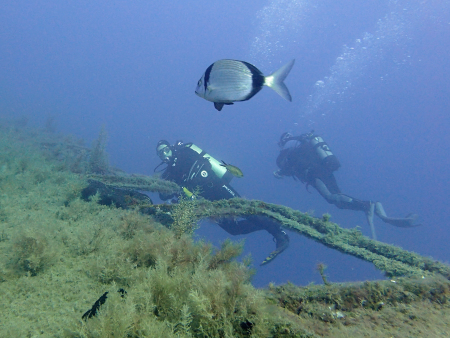 Herbies Diving Paradise,Protaras,Zypern