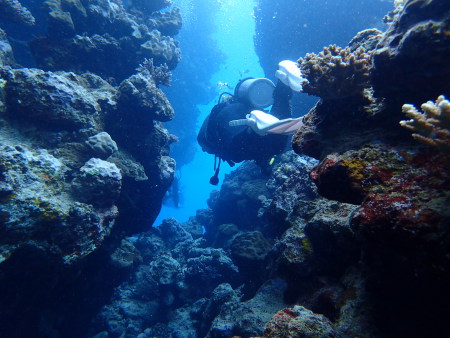 Extra Divers El Quseir,Mövenpick Resort,El Quseir bis Port Ghalib,Ägypten