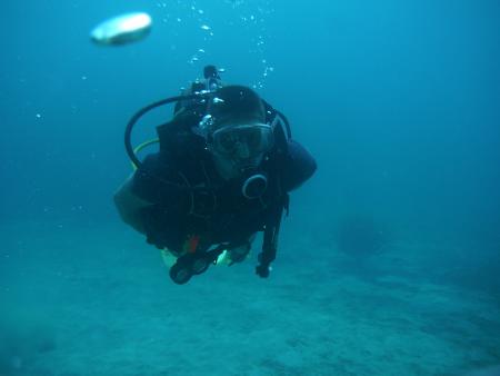 Scuba Pelicano,Isla Margarita,Juan Griego / Venezuela,Venezuela