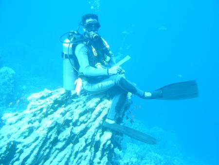 SeaMax Diving Center,Sharm el Sheikh,Sinai-Süd bis Nabq,Ägypten