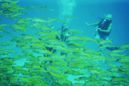 New SON BIJOU Diving Center - Hurghada,Hurghada,Ägypten