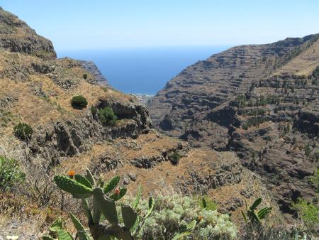 Dive Art,San Sebastian,Gomera,Kanarische Inseln,Spanien