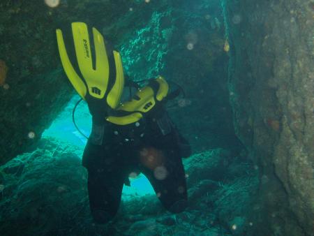 Mad Shark Diving,St. Pauls Bay,Malta