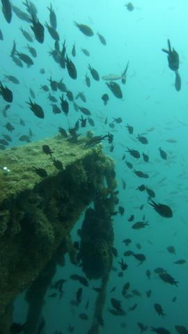 Styria-Guenis-Diving-Group,Insel Krk,Kroatien