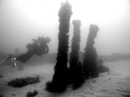 H2O Divers,Ramla Bay,Malta