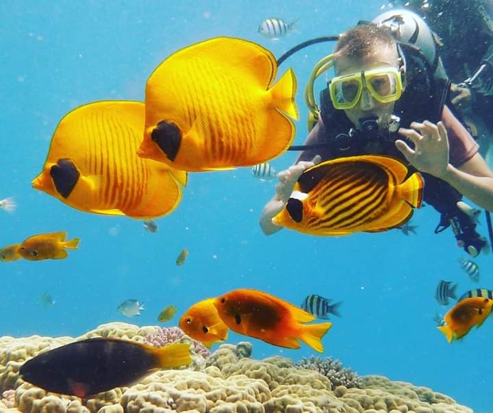 Dive Academy Red Sea, Ägypten, Hurghada