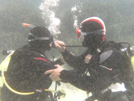 Dive & Fun,Cala D´Or,Mallorca,Balearen,Spanien