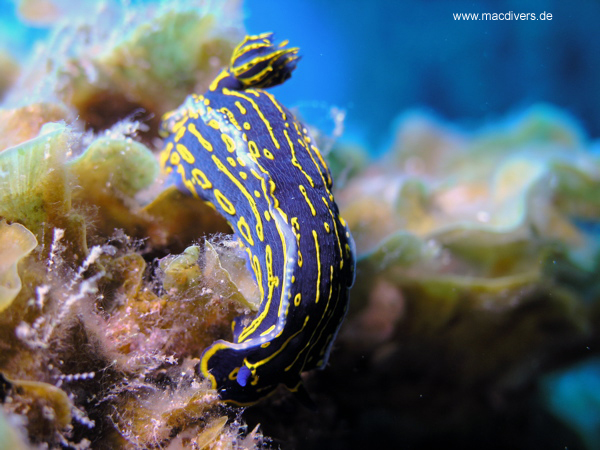El Hierro, El Hierro,Spanien