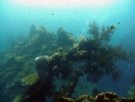 Water Worx Dive Center,Padang Bai,Bali,Indonesien