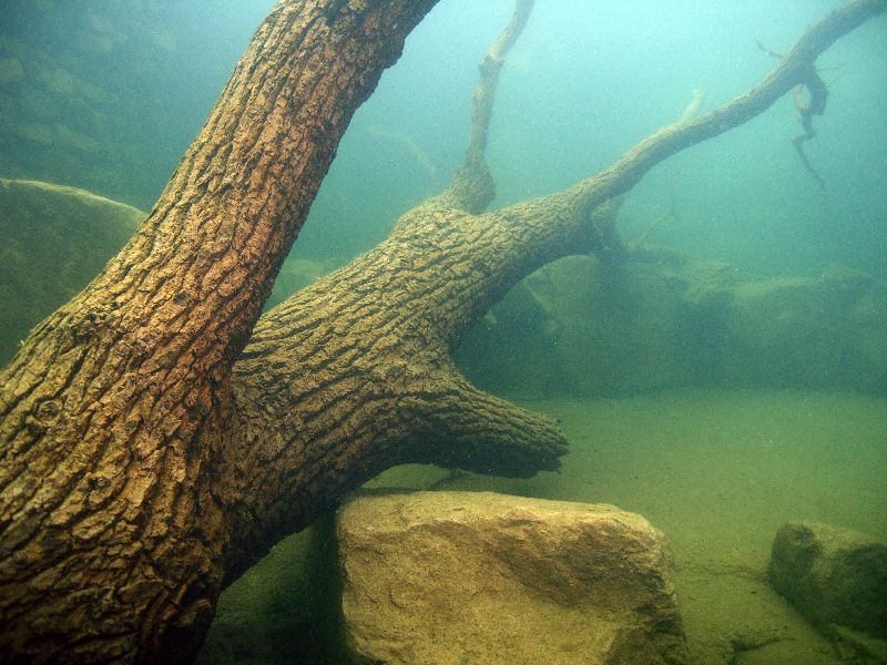 Ibbenbüren, Ibbenbüren,Unterwasserpark,Nordrhein-Westfalen,Deutschland