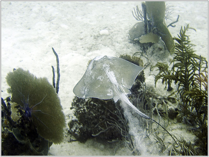 Bayahibe, Bayahibe,Dominikanische Republik