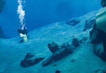 BARE - Atomic Aquatics