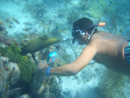 Dressel Divers Club,Bayahibe,Dominikanische Republik