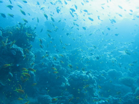 Imagine Divers,Hurghada,Ägypten