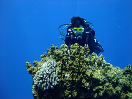 Yap Pacific Divers,Mikronesien