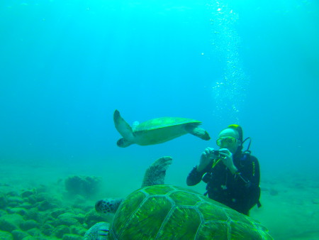 Ocean Trek,Playa Americas,Teneriffa,Kanarische Inseln,Spanien