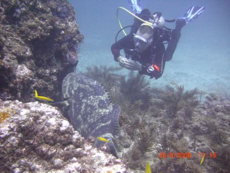 Scuba Pelicano,Isla Margarita,Juan Griego / Venezuela,Venezuela