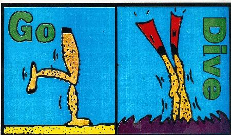 Go Dive DC `Paradise`,Hilton Sharm Waterfalls Resort,Sharm el Sheikh,Sinai-Süd bis Nabq,Ägypten