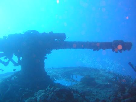 Aquarius Diving Club,Sharm el Sheikh,Sinai-Süd bis Nabq,Ägypten