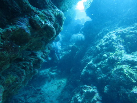 Tobri Divers,Dixon Cove Roatan,Honduras