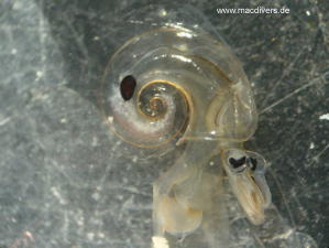 El Hierro, El Hierro,Spanien