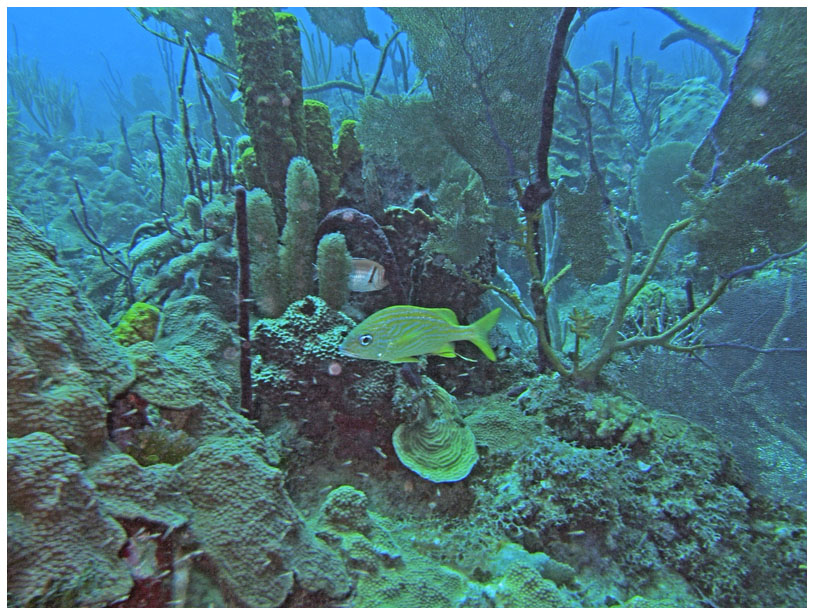 Bayahibe, Bayahibe,Dominikanische Republik