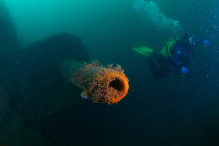 Diving Cellar,Stromness- Scapa Flow,Schottland,Großbritannien