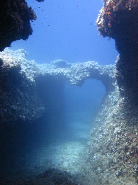 Bluewater Scuba,Cala´n Bosch,Menorca,Balearen,Spanien