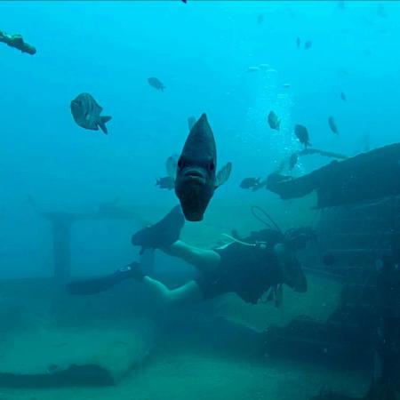 Ultra Marine Divers,Punta Cana,Dominikanische Republik