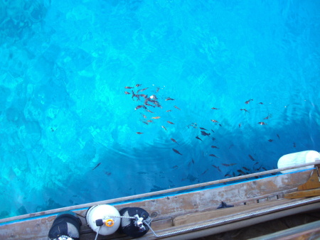 A&P Divers (Akdeniz Diving),Antalya,Türkei