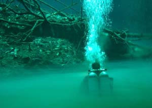 Lucky Fish Diving Akumal,Mexiko