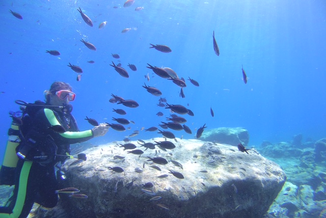 Clownfish´s Diving, Ayia Napa, Zypern