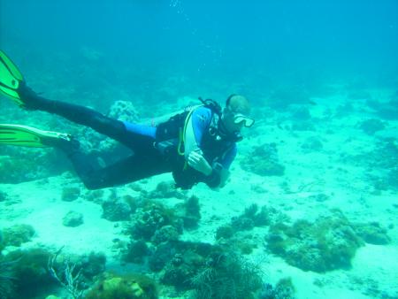 Scuba Pelicano,Isla Margarita,Juan Griego / Venezuela,Venezuela