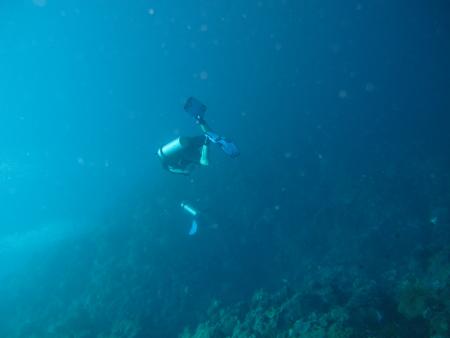 Mamaling Souldiving Bunaken,Sulawesi,Indonesien