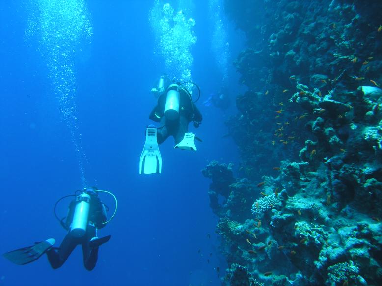 Ras Nasrani + Shark Reef, Ras Nasrani (Sharm El Sheikh),Ägypten