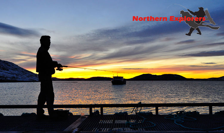 Natur unter und über Wasser, Wracks und Abenteuer, Namsfjord/Mittelnorwegen,Norwegen