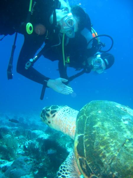 Diversity diving,Mexiko