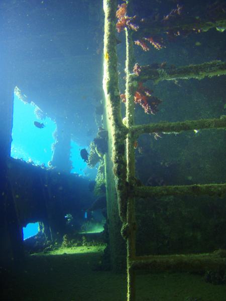 Beachsafari Diving Camp Marsa Alam,Marsa Alam und südlich,Ägypten